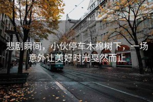 悲剧瞬间，小伙停车木棉树下，一场意外让美好时光戛然而止