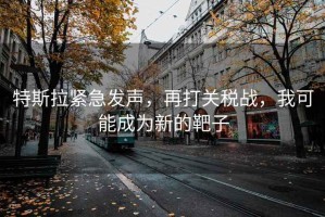 特斯拉紧急发声，再打关税战，我可能成为新的靶子