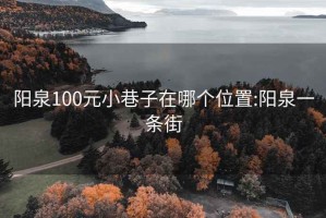 阳泉100元小巷子在哪个位置:阳泉一条街