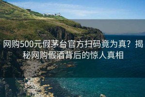 网购500元假茅台官方扫码竟为真？揭秘网购假酒背后的惊人真相