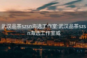 武汉品茶szsn海选工作室:武汉品茶szsn海选工作室威