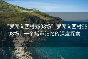 “罗湖向西村9598场”罗湖向西村9598场，一个城市记忆的深度探索