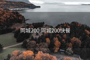 同城200:同城200快餐