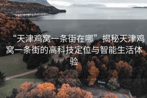 “天津鸡窝一条街在哪”揭秘天津鸡窝一条街的高科技定位与智能生活体验