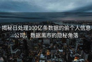 揭秘日处理100亿条数据的偷个人信息公司，数据黑市的隐秘角落