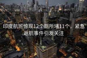 印度航班惊现12个厕所堵11个，紧急返航事件引发关注