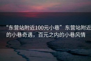 “东营站附近100元小巷”东营站附近的小巷奇遇，百元之内的小巷风情