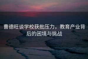 曹德旺谈学校获批压力，教育产业背后的困境与挑战