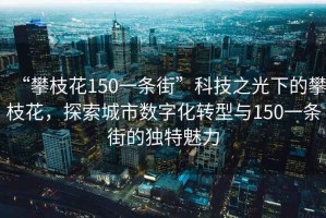 “攀枝花150一条街”科技之光下的攀枝花，探索城市数字化转型与150一条街的独特魅力