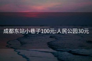 成都东站小巷子100元:人民公园30元