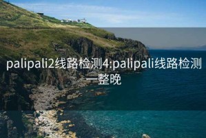 palipali2线路检测4:palipali线路检测一整晚