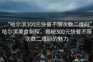 “哈尔滨300元快餐不限次数二维码”哈尔滨美食新探，揭秘300元快餐不限次数二维码的魅力