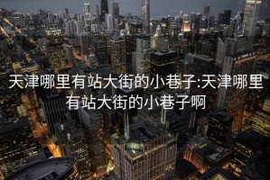 天津哪里有站大街的小巷子:天津哪里有站大街的小巷子啊