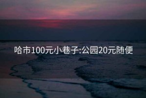 哈市100元小巷子:公园20元随便