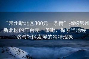 “常州新北区300元一条街”揭秘常州新北区的三百元一条街，探索当地经济与社区发展的独特现象