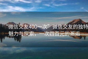 “微信交友400一次”微信交友的独特魅力与探索，一次四百元的邂逅