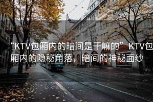 “KTV包厢内的暗间是干嘛的”KTV包厢内的隐秘角落，暗间的神秘面纱