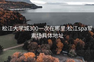 松江大学城300一次在哪里:松江spa荤素场具体地址