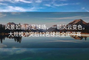 风景如画的足球场，一朝风云变色，大规模冲突后12名球员全国停赛