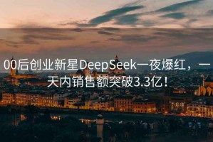 00后创业新星DeepSeek一夜爆红，一天内销售额突破3.3亿！