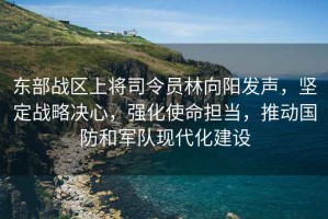 东部战区上将司令员林向阳发声，坚定战略决心，强化使命担当，推动国防和军队现代化建设