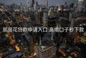 丽丽花贷款申请入口:高炮口子秒下款