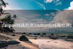 palipali线路检测3:lubuntu线路检测1