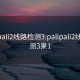 palipali2线路检测3:palipali2线路检测3果1