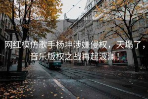 网红模仿歌手杨坤涉嫌侵权，天塌了，音乐版权之战再起波澜！