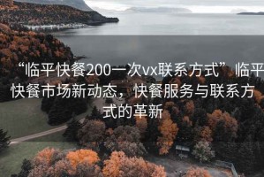 “临平快餐200一次vx联系方式”临平快餐市场新动态，快餐服务与联系方式的革新