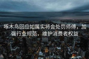 啄木鸟回应如属实将会处罚师傅，加强行业规范，维护消费者权益