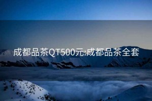 成都品茶QT500元:成都品茶全套