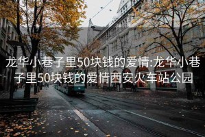 龙华小巷子里50块钱的爱情:龙华小巷子里50块钱的爱情西安火车站公园