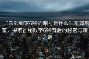 “东郊到家699的暗号是什么”东郊到家，探索神秘数字699背后的秘密与暗号之谜