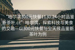 “哈尔滨300元快餐1130.24小时品鉴新茶叶.cc”哈尔滨，探索科技与美食的交融—以300元快餐与全天候品鉴新茶叶为例