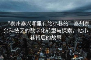 “泰州泰兴哪里有站小巷的”泰州泰兴科技区的数字化转型与探索，站小巷背后的故事