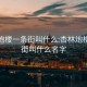 杏林炮楼一条街叫什么:杏林炮楼一条街叫什么名字