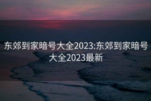 东郊到家暗号大全2023:东郊到家暗号大全2023最新