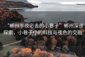 “郴州半夜必去的小巷子”郴州深夜探索，小巷子中的科技与夜色的交融