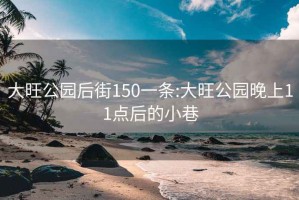 大旺公园后街150一条:大旺公园晚上11点后的小巷