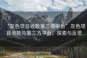 “灰色项目收款第三方平台”灰色项目收款与第三方平台，探索与反思