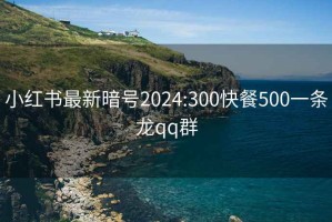 小红书最新暗号2024:300快餐500一条龙qq群