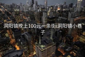 洞阳镇晚上100元一条街:洞阳镇小巷子