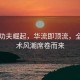 中国功夫崛起，华流即顶流，全球武术风潮席卷而来