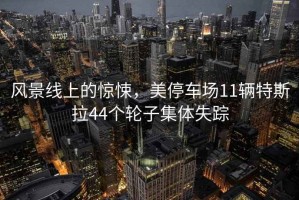 风景线上的惊悚，美停车场11辆特斯拉44个轮子集体失踪