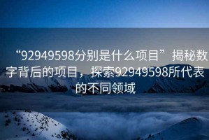 “92949598分别是什么项目”揭秘数字背后的项目，探索92949598所代表的不同领域