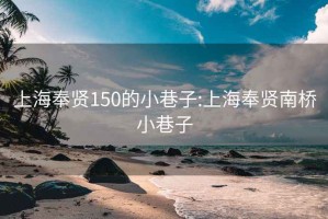 上海奉贤150的小巷子:上海奉贤南桥小巷子