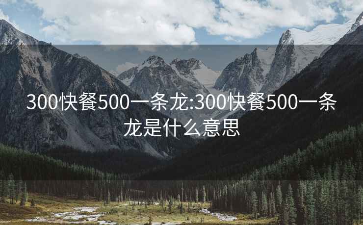 300快餐500一条龙:300快餐500一条龙是什么意思