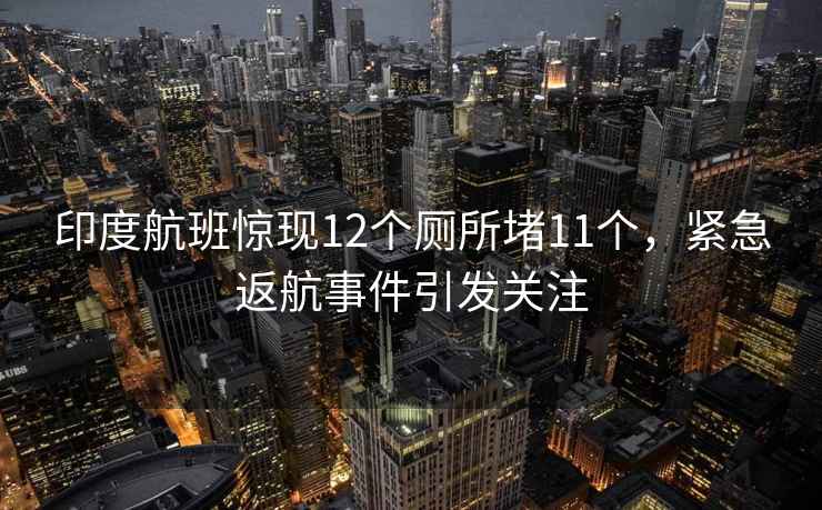 印度航班惊现12个厕所堵11个，紧急返航事件引发关注