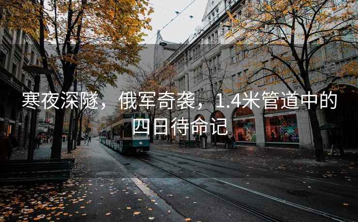 寒夜深隧，俄军奇袭，1.4米管道中的四日待命记